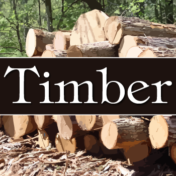 Timber+Pro